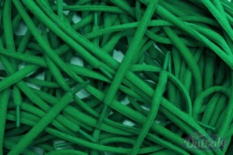 Nike SB Dunk veters laces Green