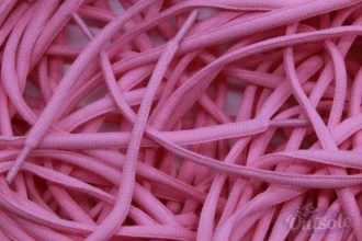 Nike SB Dunk veters laces Pink