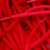 Nike SB Dunk veters laces Red