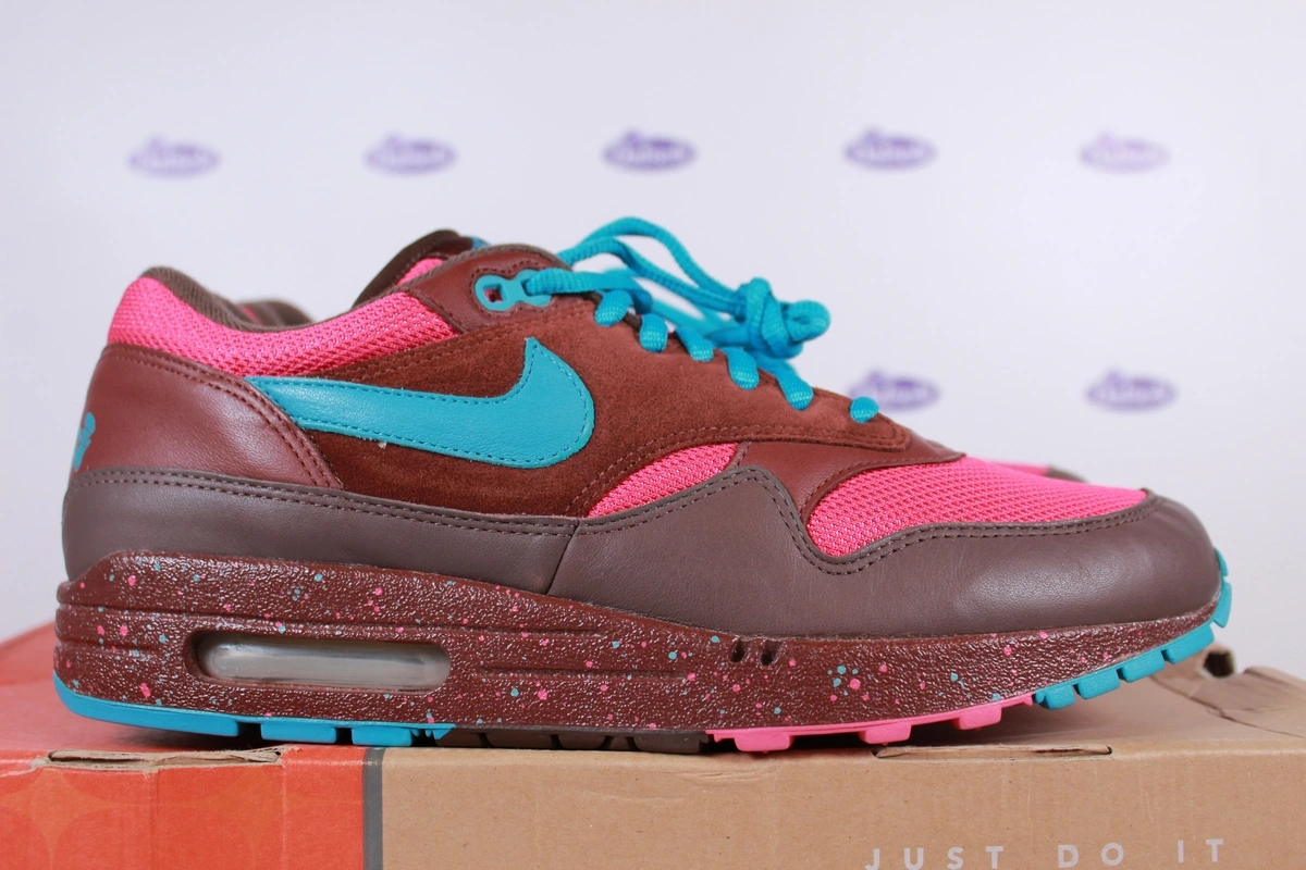 Nike Air Max 1 Amsterdam 425 1