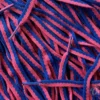 Wave laces Cherry Blue
