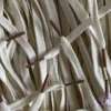 Sail Colored Tips Nike Laces Brown Veters Bruin 1