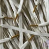 Sail Colored Tips Nike Laces Curry Veters