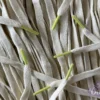 Sail Colored Tips Nike Laces Volt Veters 1