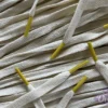 Sail Colored Tips Nike Laces Yellow Veters Geel 1