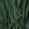 Asics laces Dark Green flat