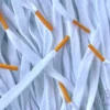 Colored Tips laces veters white gold yellow wit goudgeel Nike