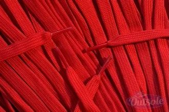 Nike Dunk laces veters Red Rood