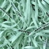 Off White SHOELACES laces veters Mint