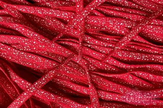 Speckled laces veters Red White Rood Wit