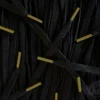 Colored Tips laces Black Metallic Gold veters