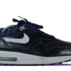 Nike Air Max 1 Premium Untold Truth