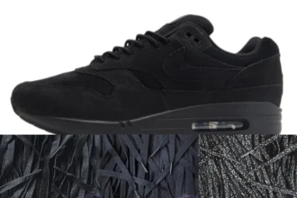 Lace Pack Nike Air Max 1 Premium Black Cat Photoroom