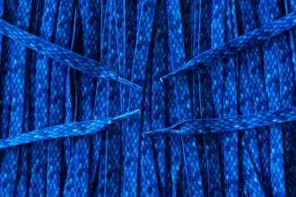 Print laces Snakeskin Blue