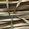 Leren lederen veters plasma goud leather laces plasma gold