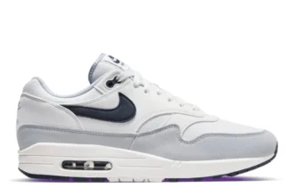 Nike Air Max 1 Platinum Tint