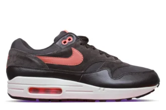 Nike Air Max 1 Velvet Brown (8)