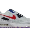 Nike Air Max 90 Euro Tour (1)